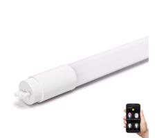 B.V. LED Fénycső T8/10W/230V 6500K 60 cm