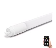 B.V. LED Fénycső T8/18W/230V 6500K 120 cm
