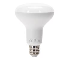 B.V. LED Izzó R90 E27/15W/230V 6500K