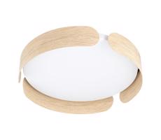 Eglo Eglo 99622