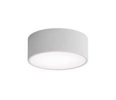 Fürdőszobai mennyezeti lámpa CLEO 1xE27/24W/230V átm. 20 cm szürke IP54