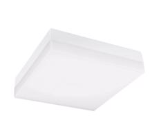 Greenlux LED Fürdőszobai mennyezeti lámpa LED/12W/230V 3000/4000/6000K 22x22 cm IP44