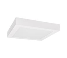Greenlux LED Mennyezeti lámpa FENIX LED/24W/230V 2900/3900/5800K 29,5x29,5 cm fehér