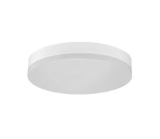 Greenlux LED Mennyezeti lámpa LED/12W/230V IP44