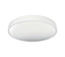 Greenlux LED Mennyezeti lámpa SAMER LED/24W/230V 4000K