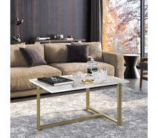 Kávésasztal MERIDETHS 45x92 cm arany/fehér