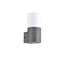 Kültéri fali lámpa DALLAS 1xE27/12W/230V IP44
