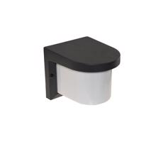 Kültéri fali lámpa PETUNIA 1xE27/60W/230V IP44 antracit