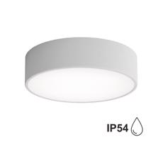 Kültéri mennyezeti lámpa érzékelővel CLEO 2xE27/24W/230V á. 30 cm szürke IP54