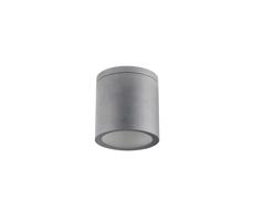 Kültéri mennyezeti lámpa QUAZAR 1xGU10/20W/230V IP44