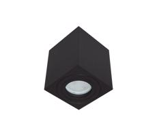 Kültéri spotlámpa SARA 1xGU10/30W/230V IP54 fekete