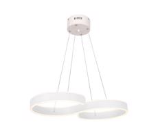 LED Csillár zsinóron INFINITY LED/50W/230V
