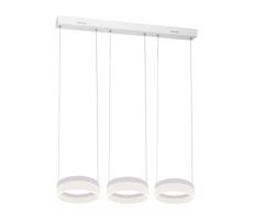 LED Csillár zsinóron RING 3xLED/12W/230V