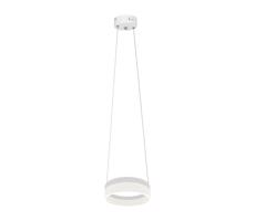 LED Csillár zsinóron RING LED/12W/230V