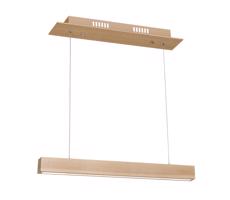LED Csillár zsinóron TIMBER LED/12W/230V