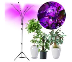 LED Dimmelhető állólámpa növények termesztésére VITARO 4xLED/7,5W/230V fekete