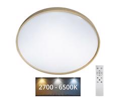 LED Dimmelhető mennyezeti lámpa DRINA LED/36W/230V 2700