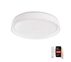 LED Dimmelhető mennyezeti lámpa GoSmart LED/30W/230V Wi