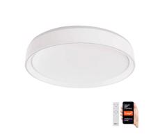 LED Dimmelhető mennyezeti lámpa GoSmart LED/45W/230V Wi