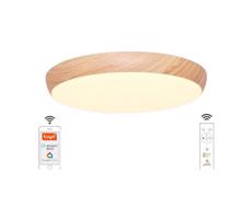 LED Dimmelhető mennyezeti lámpa LED/48W/230V 2700