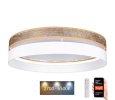 LED Dimmelhető mennyezeti lámpa LIMA LED/36W/230V Wi