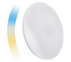 LED Dimmelhető mennyezeti lámpa NYMPHEA LED/36W/230V 2700