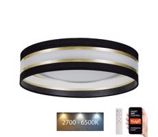 LED Dimmelhető mennyezeti lámpa SMART CORAL LED/24W/230V Wi