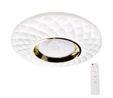 LED Dimmelhető mennyezeti lámpa TOKYO LED/48W/230V 3000