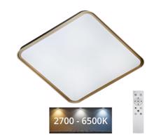 LED Dimmelhető mennyezeti lámpa UNA LED/60W/230V 2700
