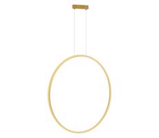 LED Fürdőszobai csillár zsinóron SATURNO LED/46W/230V IP44 arany