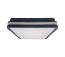 LED Fürdőszobai mennyezeti lámpa érzékelővel ELLÉ LED/24W/230V 26x26 cm IP54 antracit