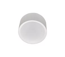 LED Fürdőszobai mennyezeti lámpa PERCI LED/30W/230V IP40 2700K fehér