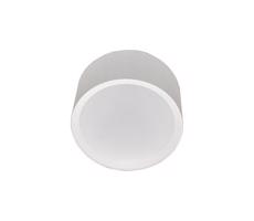 LED Fürdőszobai mennyezeti lámpa PERCI LED/30W/230V IP40 4000K fehér
