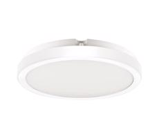 LED Fürdőszobai mennyezeti lámpa VERA LED/24W/230V 4000K IP65 fehér