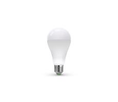 LED Izzó LEDSTAR ECO A65 E27/20W/230V 4000K