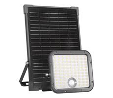 LED Kültéri napelemes reflektor érzékelővel LED/30W/6,4V IP65 3000/4000K