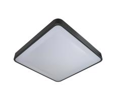 LED Mennyezeti lámpa érzékelővel WILTON LED/24W/230V antracit