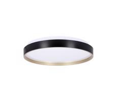LED Mennyezeti lámpa FLORIDA LED/18W/230V fekete