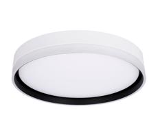 LED Mennyezeti lámpa FLORIDA LED/24W/230V fehér