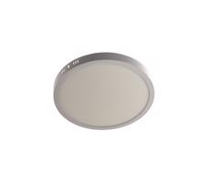 LED Mennyezeti lámpa GERRIT LED/24W/230V 4000K fehér