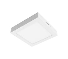 LED Mennyezeti lámpa GERRY LED/24W/230V 3000K