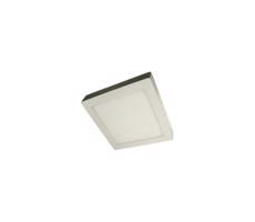 LED Mennyezeti lámpa GERRY LED/24W/230V 6000K