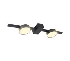 LED Mennyezeti lámpa JOY 2xGX53/6W/230V fekete