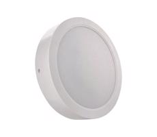 LED Mennyezeti lámpa LED/24W/230V á. 22 cm fehér