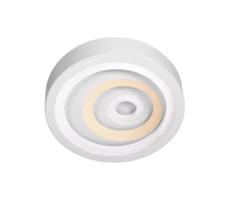 LED Mennyezeti lámpa LED/52W/230V 3000/4000/6000K