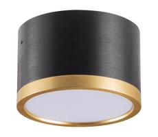 LED Mennyezeti lámpa MIRELLA 1xGX53/6W/230V fekete/arany