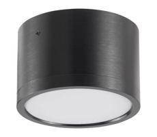 LED Mennyezeti lámpa MIRELLA 1xGX53/6W/230V fekete
