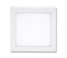 LED Mennyezeti lámpa RAFA LED/12W/230V 2700K