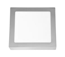 LED Mennyezeti lámpa RAFA LED/18W/230V 4100K