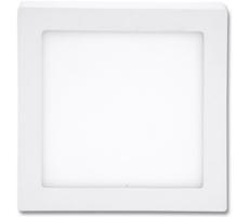 LED Mennyezeti lámpa RAFA LED/25W/230V 2700K